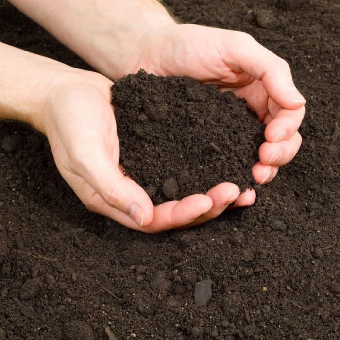 top_soil_category_6b90